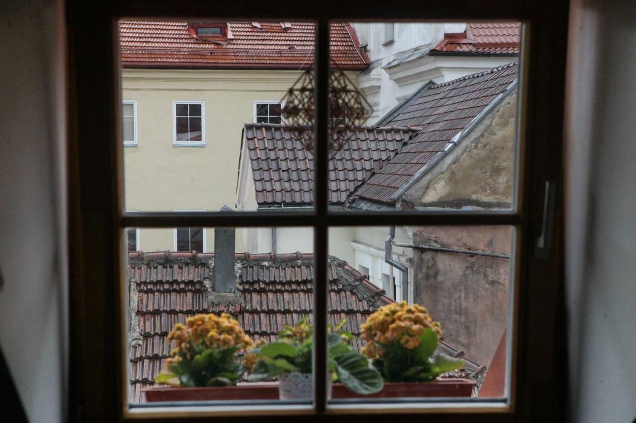 Vokieciu G. Apartment